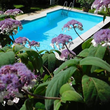 Four Seasons Apartment "Green Paradise" Villach Buitenkant foto