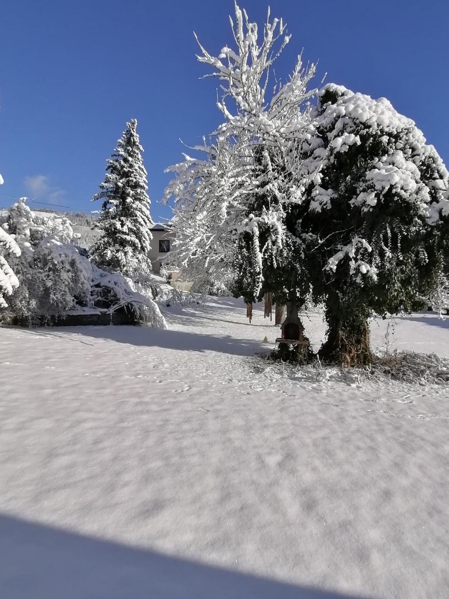 Four Seasons Apartment "Green Paradise" Villach Buitenkant foto